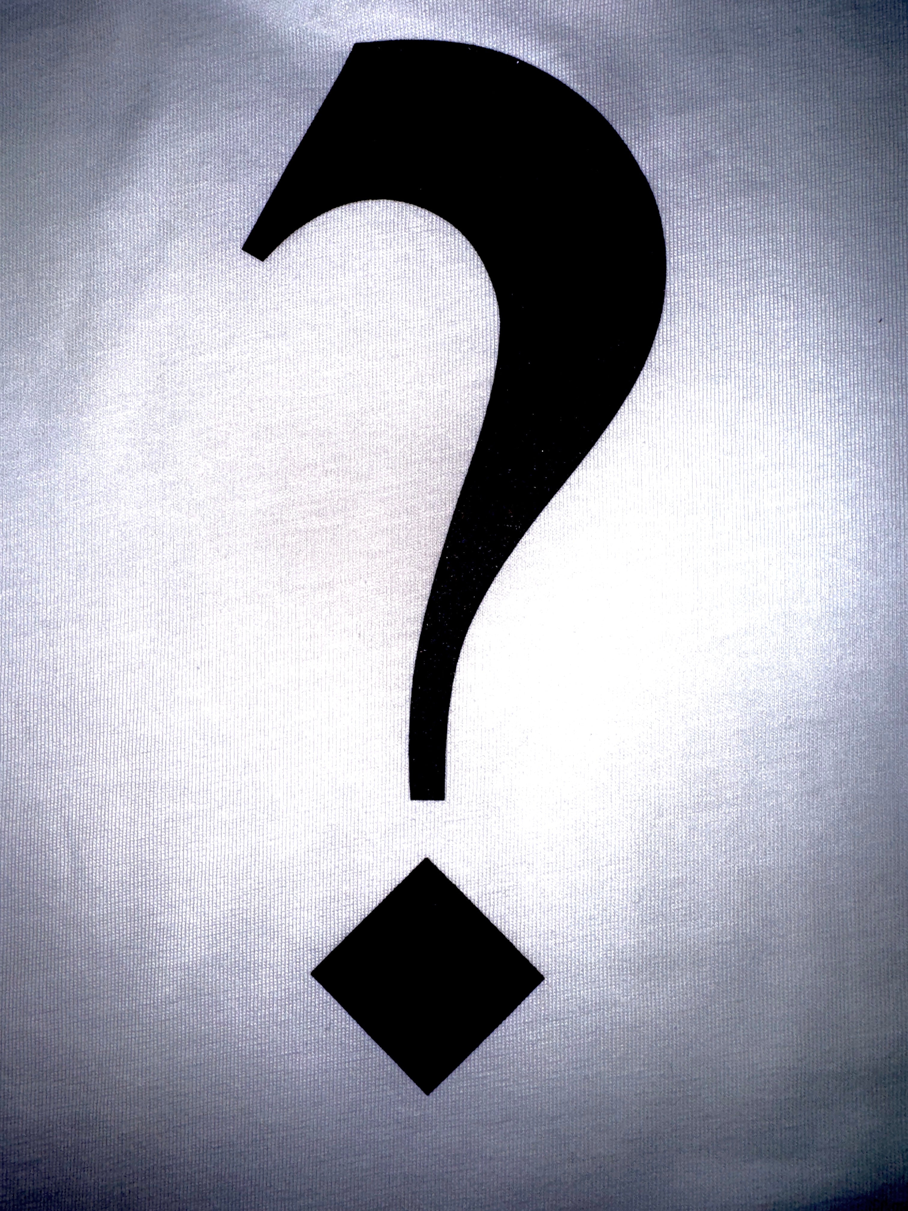 "THE QUESTION" - THE DISCOVERY TEE